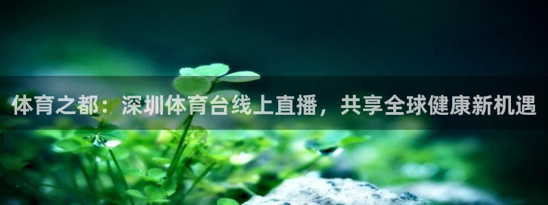 体育之都：深圳体育台线上直播，共享全球健康新机遇