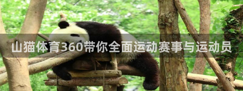 山猫体育360带你全面运动赛事与运动员