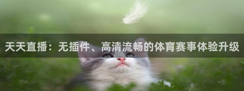 天天直播：无插件、高清流畅的体育赛事体验升级