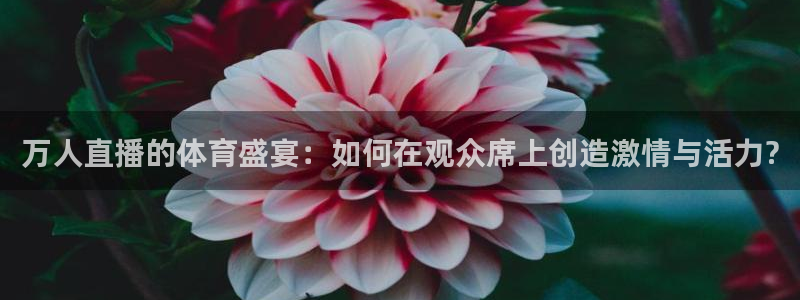 万人直播的体育盛宴：如何在观众席上创造激情与活力?