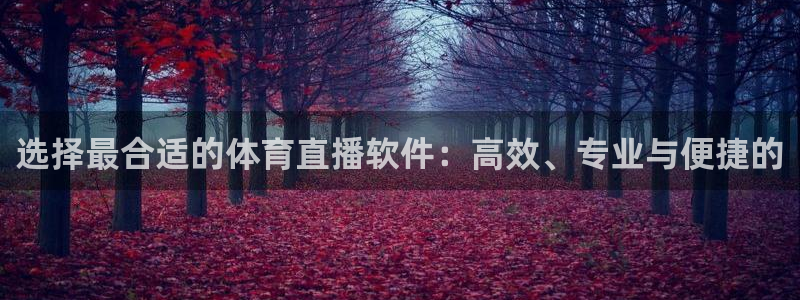 选择最合适的体育直播软件：高效、专业与便捷的