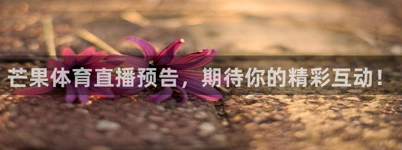 芒果体育直播预告，期待你的精彩互动！