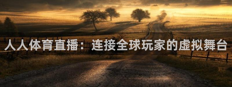 人人体育直播：连接全球玩家的虚拟舞台