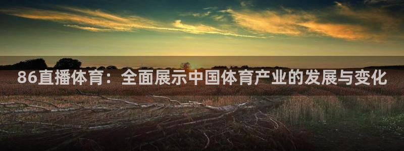 86直播体育：全面展示中国体育产业的发展与变化