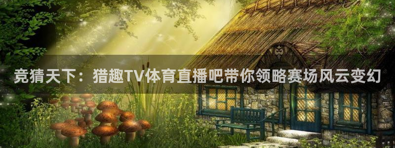 竞猜天下：猎趣TV体育直播吧带你领略赛场风云变幻