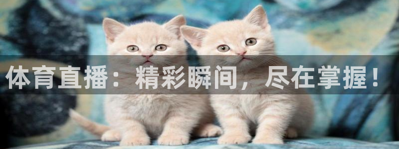 体育直播：精彩瞬间，尽在掌握！