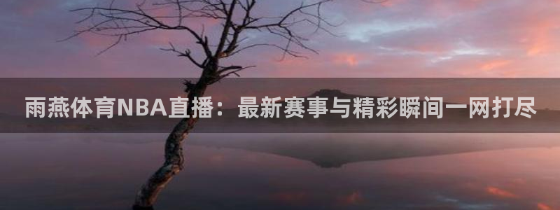 雨燕体育NBA直播：最新赛事与精彩瞬间一网打尽