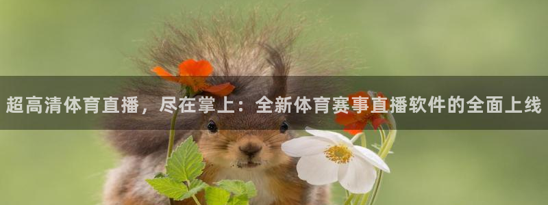 超高清体育直播，尽在掌上：全新体育赛事直播软件的全面上线
