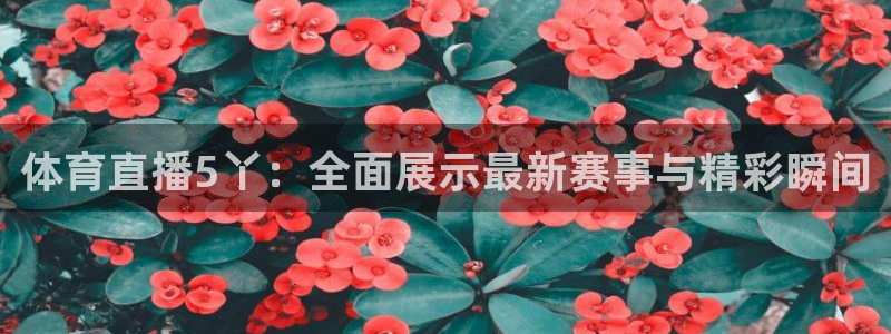 体育直播5丫：全面展示最新赛事与精彩瞬间
