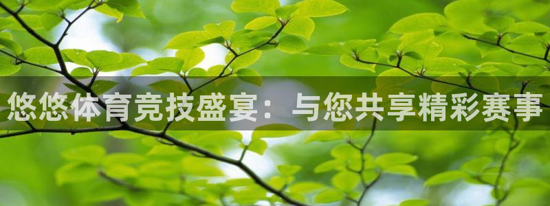 悠悠体育竞技盛宴：与您共享精彩赛事