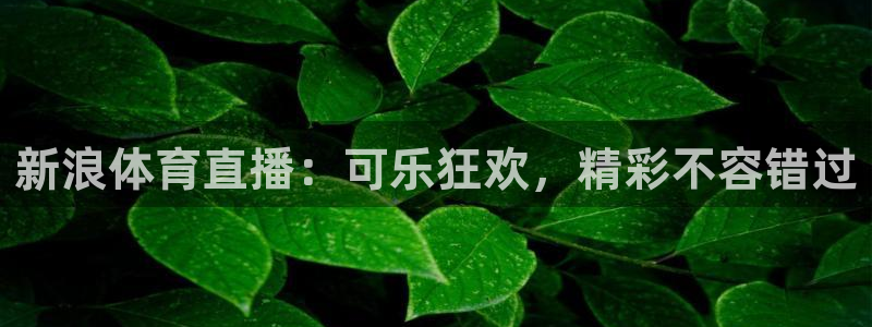 新浪体育直播：可乐狂欢，精彩不容错过