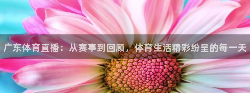 广东体育直播：从赛事到回顾，体育生活精彩纷呈的每一天
