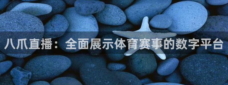 八爪直播：全面展示体育赛事的数字平台
