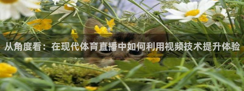 从角度看：在现代体育直播中如何利用视频技术提升体验
