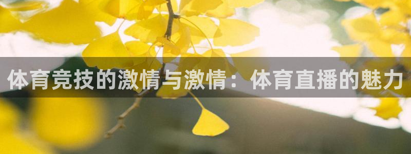 体育竞技的激情与激情：体育直播的魅力
