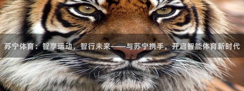 苏宁体育：智享运动，智行未来——与苏宁携手，开启智能体育新时代