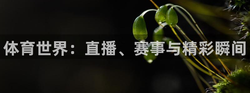 体育世界：直播、赛事与精彩瞬间
