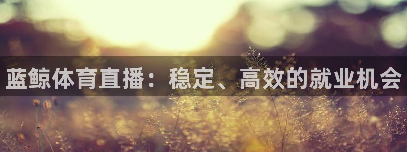 蓝鲸体育直播：稳定、高效的就业机会
