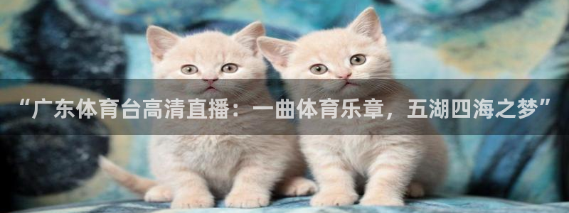 “广东体育台高清直播：一曲体育乐章，五湖四海之梦”