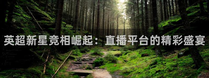 英超新星竞相崛起：直播平台的精彩盛宴