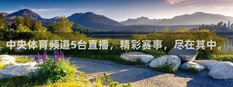 中央体育频道5台直播，精彩赛事，尽在其中。