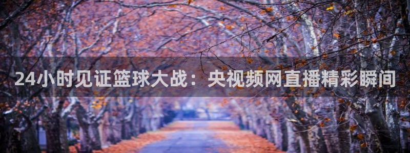 24小时见证篮球大战：央视频网直播精彩瞬间