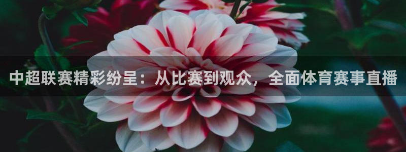 中超联赛精彩纷呈：从比赛到观众，全面体育赛事直播