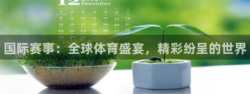 国际赛事：全球体育盛宴，精彩纷呈的世界