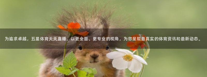 为追求卓越，五星体育天天直播，以更全面、更专业的视角，为您呈现最真实的体育资讯和最新动态。